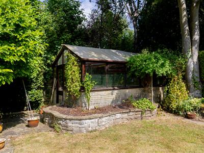 Picture 24